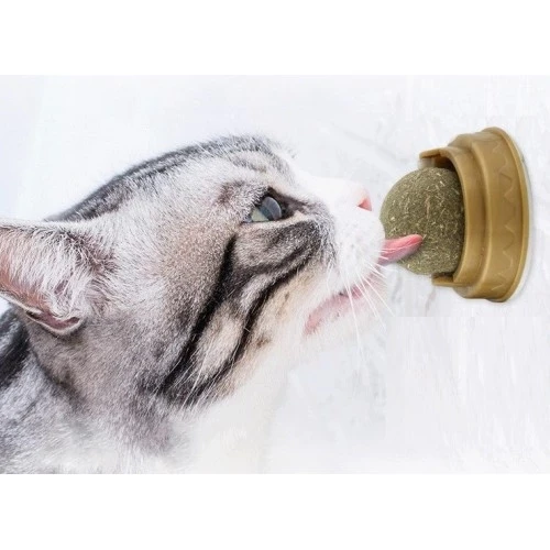 Kedi Otu Oyun Topu - Resim 2
