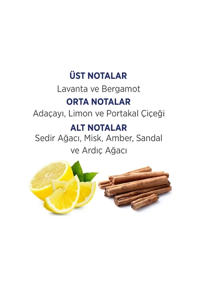 Fırst Class Erkek Parfüm Seti EDT 100 ML + Sprey Deodorant 150 ML - Resim 2