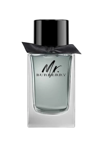 Burberry Mr. Burberry EDT 100 ml Erkek Parfüm ürün görseli 1