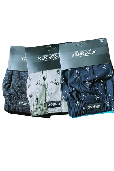 Kenpaul poplin Boxer - Resim 2