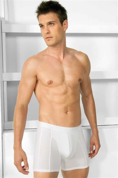 Erkek Modal Klasik Boxer ürün görseli 1