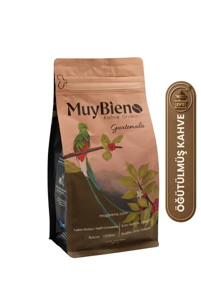 mb Muybieno Muybieno Guatemala Huehuetenango 250 gr Öğütülmüş Kahve ürün görseli 1