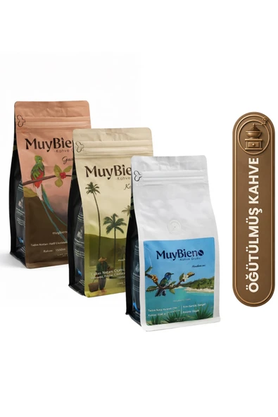 mb Muybieno Popüler Öğütülmüş Filtre Avantaj Paketi 3x250 g ürün görseli 1
