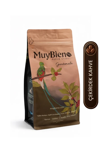 mb Muybieno Muybieno Guatemala Huehuetenango 250 gr Çekirdek Kahve ürün görseli 1