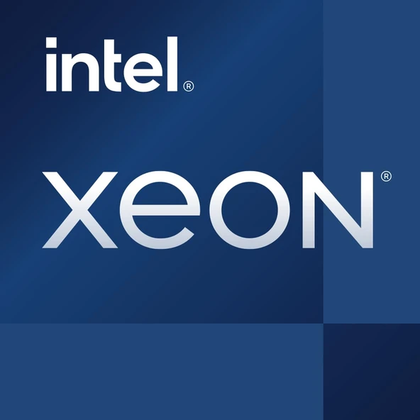 Intel CPU/Xeon E-2356G 3,20 GHz LGA1200 Tepsi ürün görseli 1