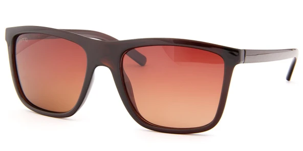 Swing SS195-C01 54 Polarize Erkek Güneş Gözlüğü ürün görseli 1