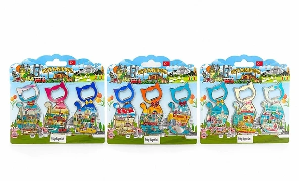 İstanbul Temalı Metal Buzdolapı Süsü Magnet 3'lü Set Alk5812 ürün görseli 1