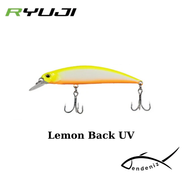 Ryuji Faster 8cm 13gr Maket Yem - Resim 6