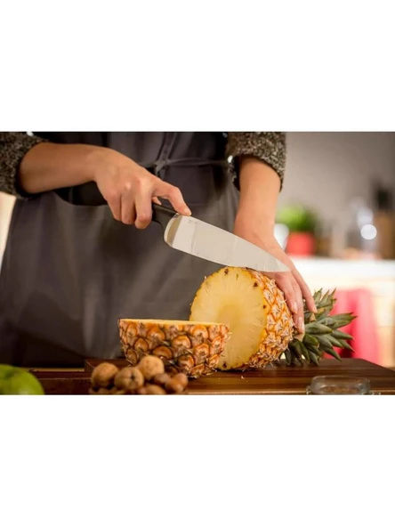 Tefal Ice Force 5 parça Bloklu Bıçak Seti - Resim 4