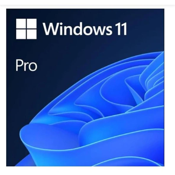 MS WINDOWS 11 PRO 32/64 BIT TR KUTU USB HAV-00159 ürün görseli 1