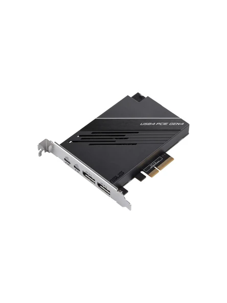 Asus Usb4 Pcıe Gen4 Card .2 X16 Pcıe 4.0 20V/3A 60W Çoklayıcı ürün görseli 1