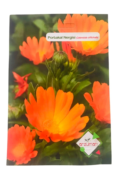 Portakal Nergisi - Aynı Sefa (calendula Officinalis) Çiçek Tohumu 30 Adet ürün görseli 1