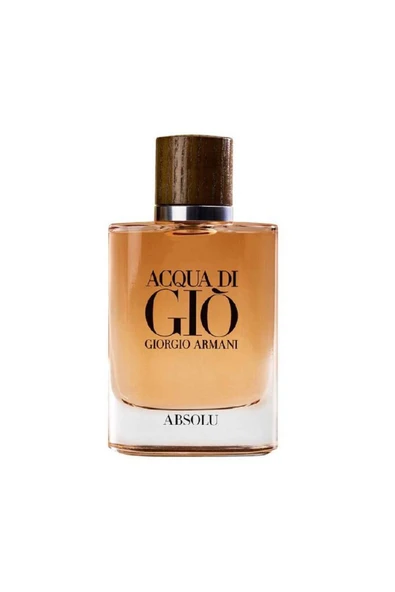 Giorgio Armani Adgh Absolu Edp 100 Ml Erkek Parfüm ürün görseli 1