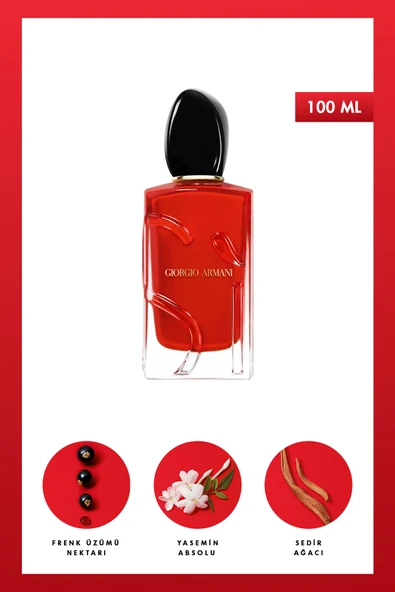 GİORGİO ARMANİ GİORGİO ARMANİ Si Passione EDP 100 ml Kadın Parfüm 3614271994844 ürün görseli 1