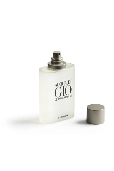 Armanı Acqua Dı Gıo Pour Homme Edt 100 Ml ürün görseli 1