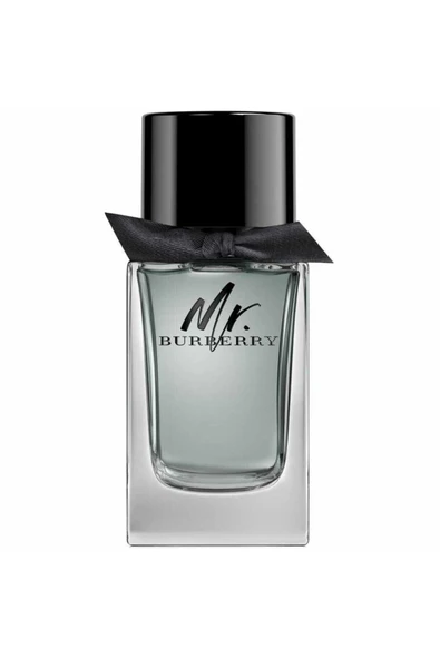 BURBERRY Mr. 100 ml Edt - Resim 2