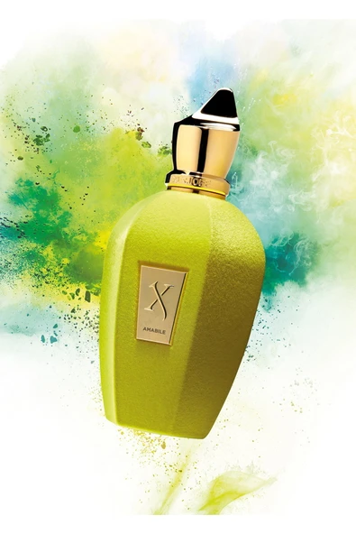 XerjoffAmabile EDP 100ml Unisex Parfum-GYEF73485689231 ürün görseli 1
