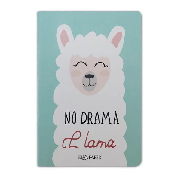 Lama Notebook Su Yeşili - Defter ürün görseli 1