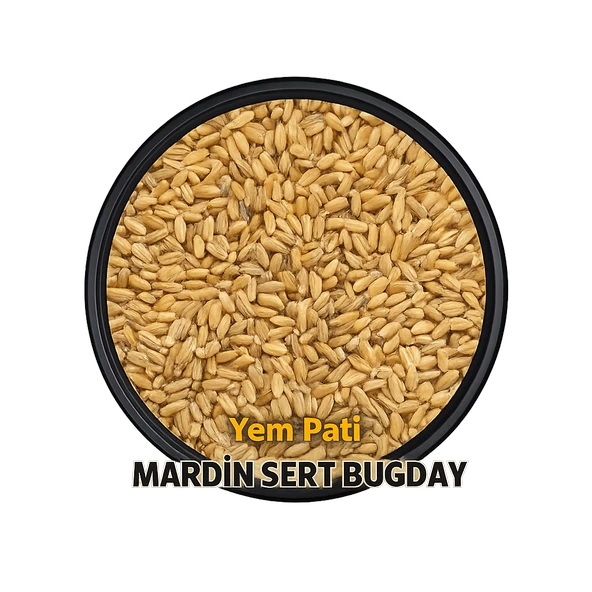 MAKARNALIK SERT BUGDAY 10 KG ürün görseli 1