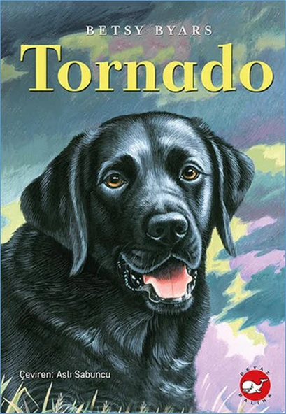 Tornado ürün görseli 1