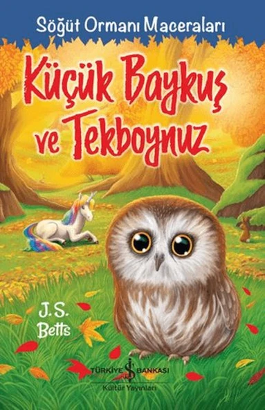 Küçük Baykuş ve Tekboynuz - Söğüt Ormanı Maceraları ürün görseli 1