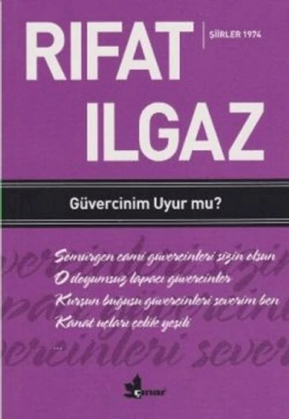 Güvercinim Uyur mu ? ürün görseli 1