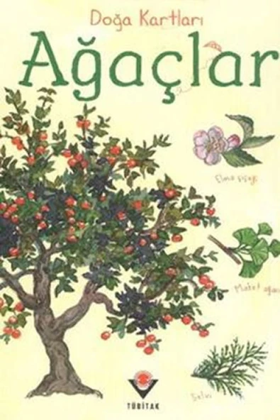 Doğa Kartları - Ağaçlar ürün görseli 1