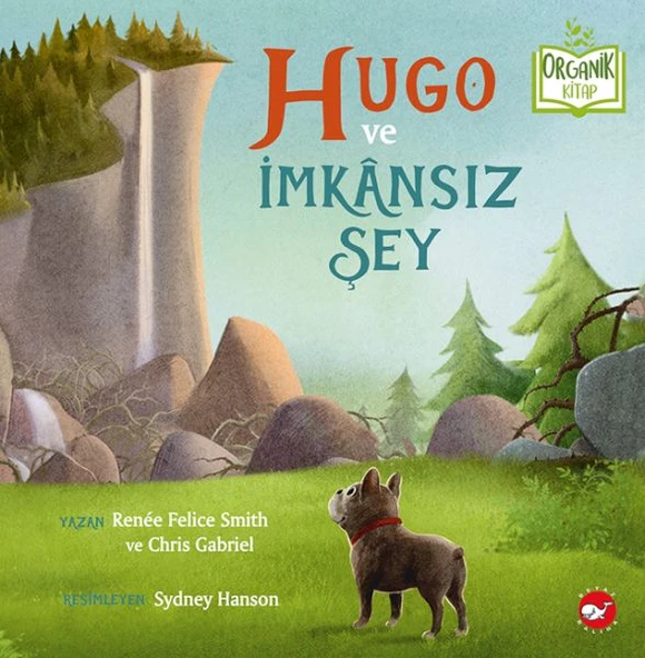 ve İmkânsız Şey - Organik Kitaplar ürün görseli 1