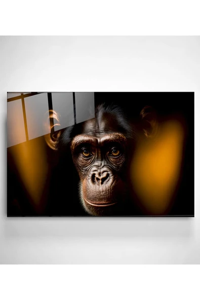 Monkey Cam Tablo, Dekoratif Cam Tablo - Resim 3