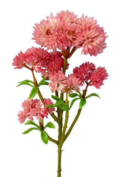 Yapay Çiçek Sedum Succulent Dalı Pembe 33cm ürün görseli 1