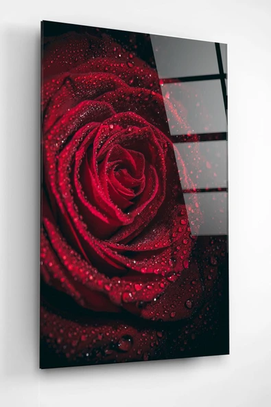 Rose Cam Tablo, Dekoratif Cam Tablo - Resim 3