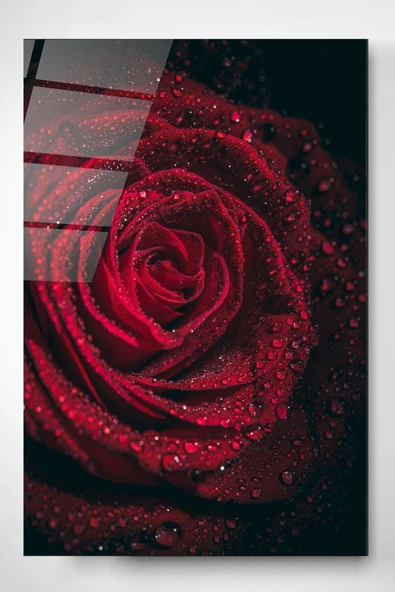 Rose Cam Tablo, Dekoratif Cam Tablo ürün görseli 1