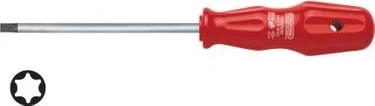 Ceta Form 4400/T25MT25X100 Torex Torx Uc Tornavıda Ceta ürün görseli 1