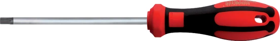 Ceta Form F19-025-100 C-Plus Delikli Torx Uçlu Tornavida T25X100 mm ürün görseli 1