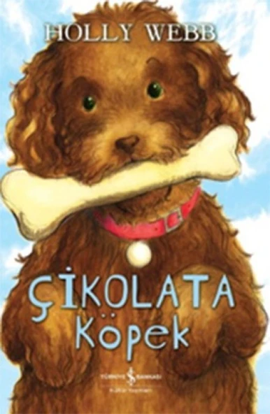 Köpek ürün görseli 1