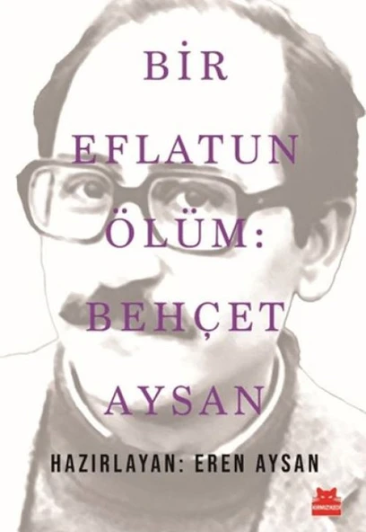 Bir Eflatun Ölüm: Behçet Aysan ürün görseli 1