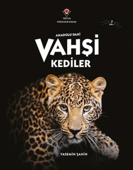 Anadolu'Daki Vahşi Kediler ürün görseli 1