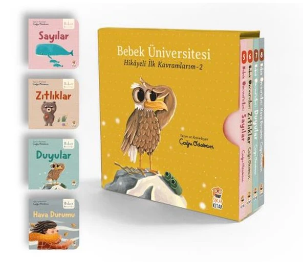 Bebek Üniversitesi Set 2 (4 ) ürün görseli 1