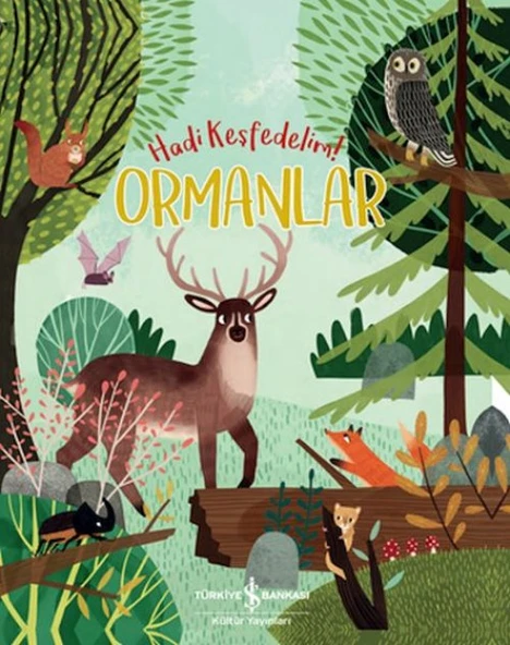 Ormanlar - Hadi Keşfedelim! ürün görseli 1