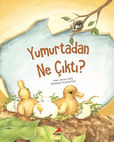 Yumurtadan Ne Çıktı? ürün görseli 1