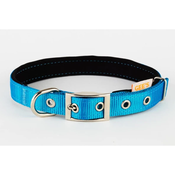 Gees Köpek Boyun Tasması 2,5x42-52 Cm TURKUAZ ürün görseli 1