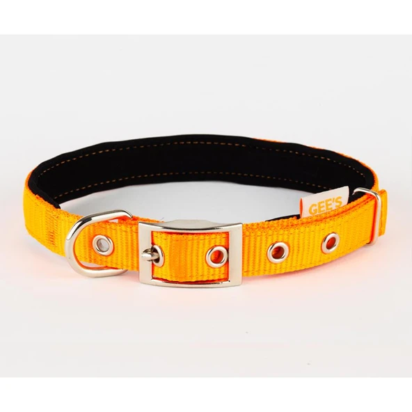 Gees Köpek Boyun Tasması 2x32-42 Cm TURUNCU ürün görseli 1