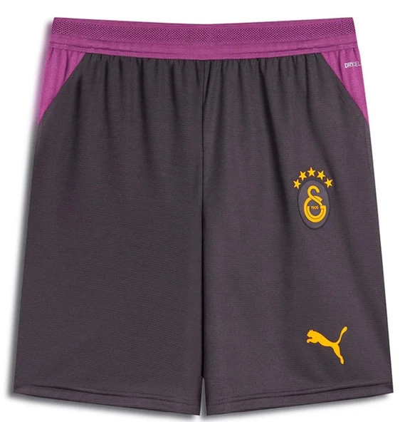 Galatasaray S.k. Shorts 26/27 İç Saha Şort Erkek Futbol Şortu ürün görseli 1