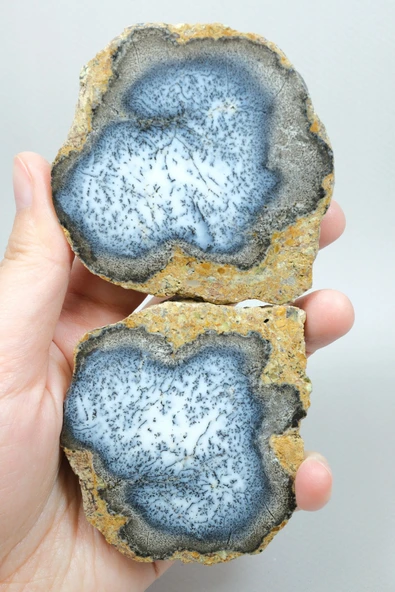 Merlinite (Dendritik Opal) - Mavi ve Beyaz Dendritik Opal Çift ürün görseli 1