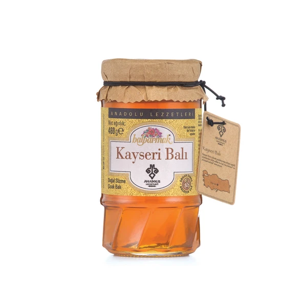 Balparmak Anadolu Lezzetleri Kayseri Balı 460 G (4'li Paket) ürün görseli 1