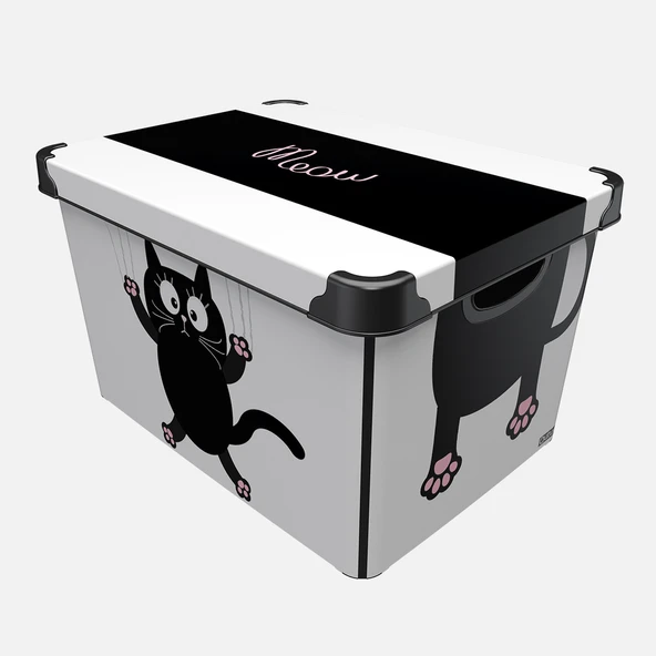 Qutu Style Box Meow Cat (6'li Paket) ürün görseli 1