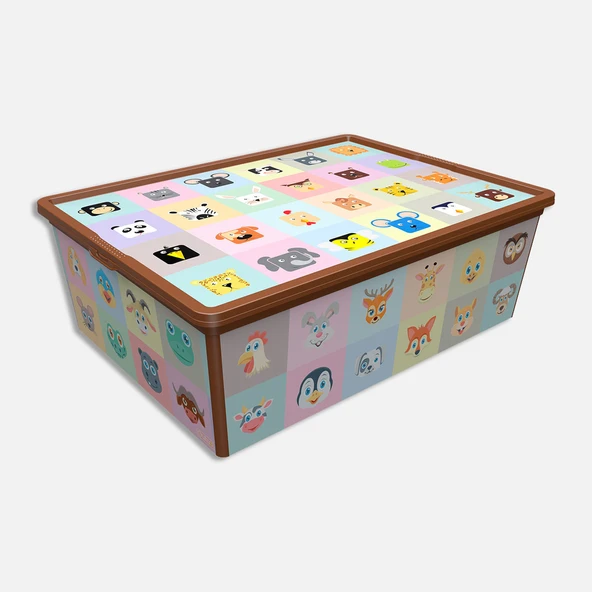 Qutu Style Box Looking Learning (2'li Paket) ürün görseli 1
