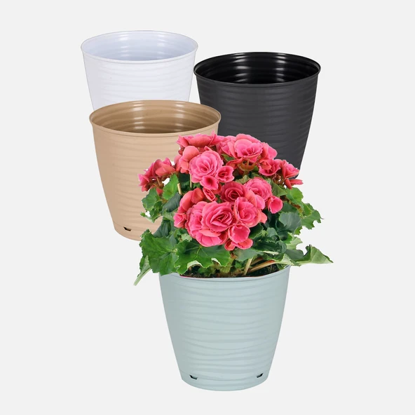 PlastArt Sahra Saksı 26cm (6'li Paket) ürün görseli 1