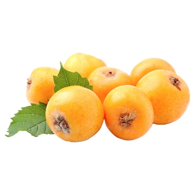 Erik Malta 2-3 Kg Lık Mini Kutuda Kg (8'li Paket) ürün görseli 1