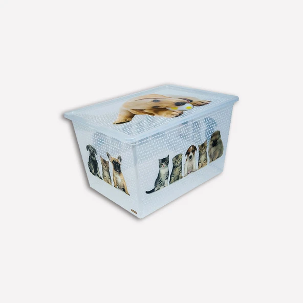 Qutu Kedi Köpek Saklama Kutusu (3'li Paket) ürün görseli 1